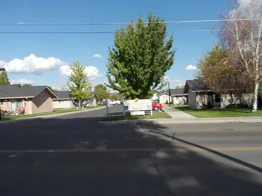 Street view of single-story buildings among tall trees