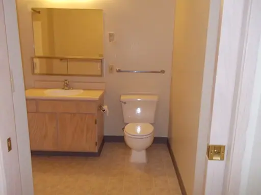 Bathroom with grab bars by the toilet and a wood vanity