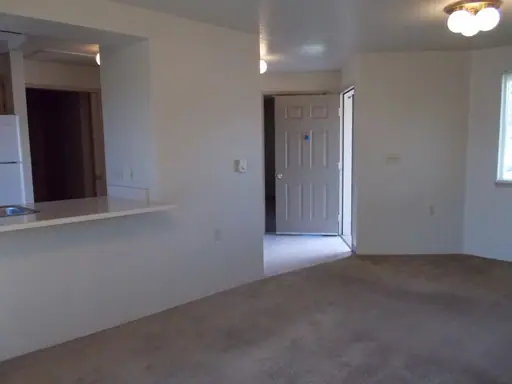 Living room with carpet and a pass-through to the kitchen