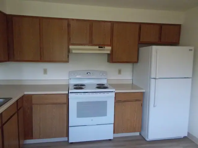 Kitchen with wood cabinets, a white electric range, a range hood and a refrigerator