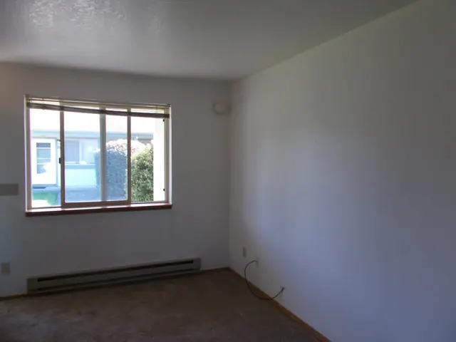 Living room with carpet, a window and a baseboard heater
