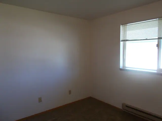 Bedroom with carpet, a window with blinds and a baseboard heater