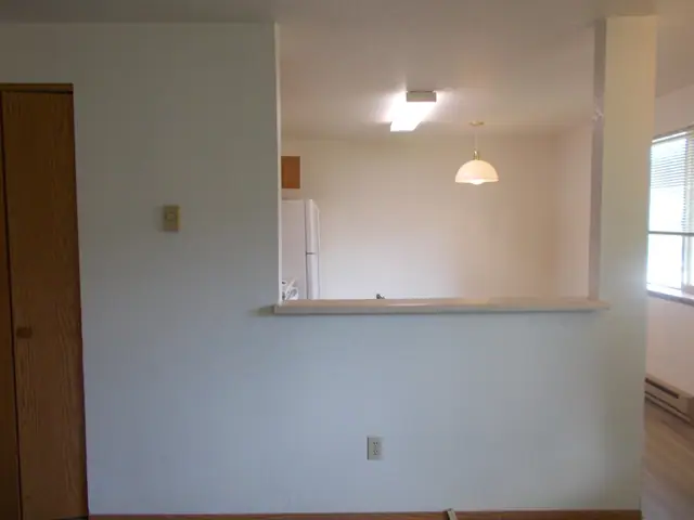 Pass-through from the living room to the kitchen, with a pendant light