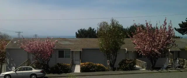 Buildings below flowering trees, with the ocean beyond