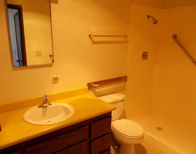Bathroom with a walk-in shower, grab bars and a vanity
