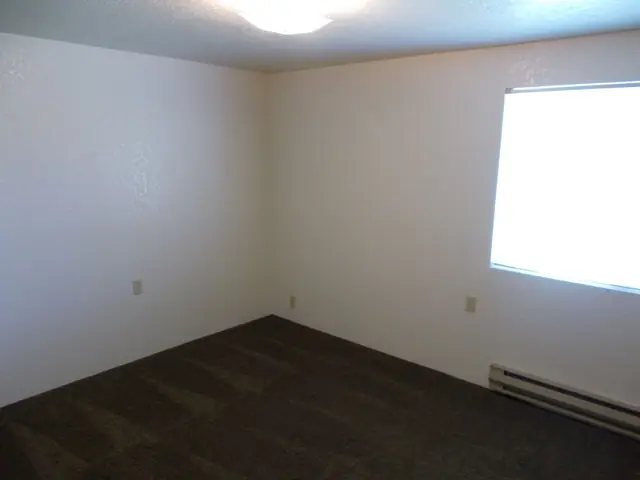 Empty bedroom with dark carpet and a window