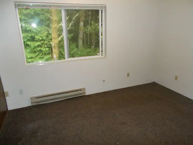 Empty bedroom with a window onto the trees