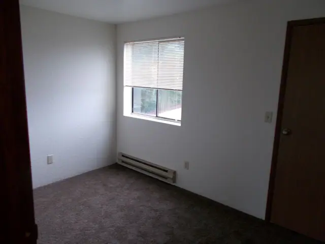 Empty bedroom with a window and carpet