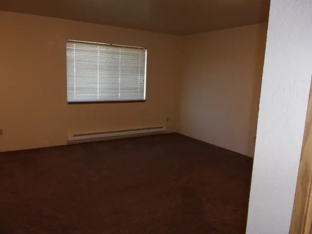 Empty living room with carpet and a window