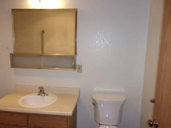 Bathroom sink with a medicine cabinet and a grab bar