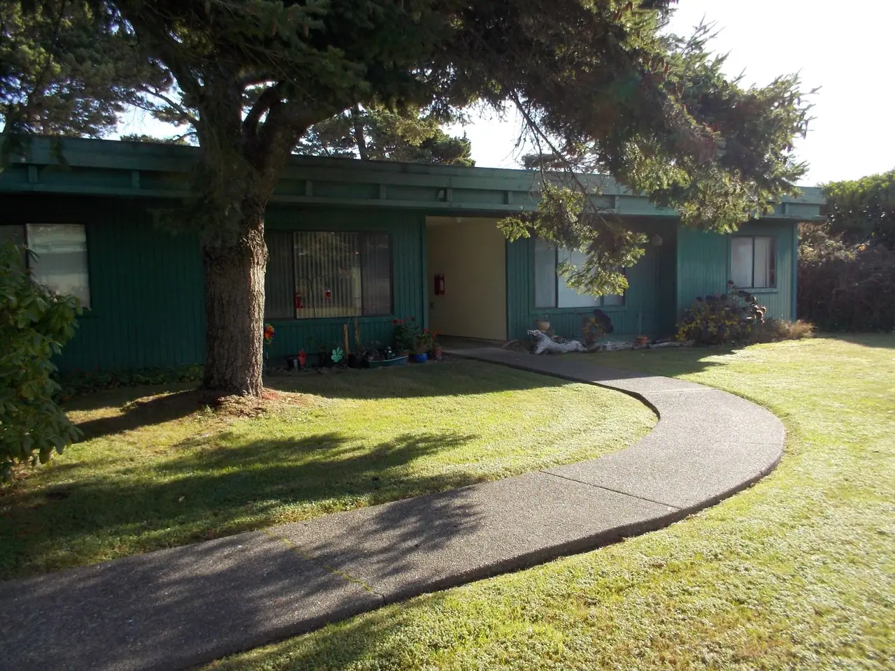 Green single-story building with a shade tree and a curved walkway