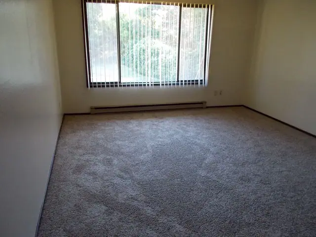 Empty room with carpet and a wide window