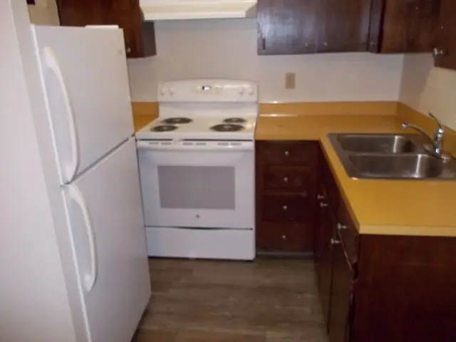 Kitchen with dark wood cabinets, a white range and a refrigerator