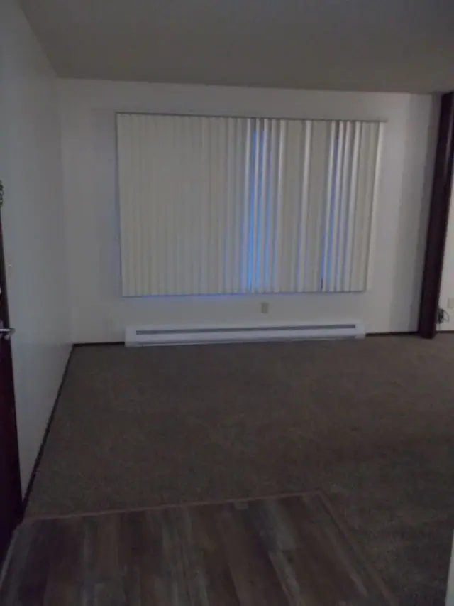 Empty room with carpet and a window with vertical blinds