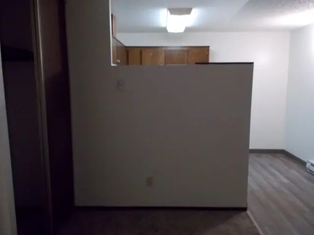 Half wall with the kitchen beyond and wood-look flooring