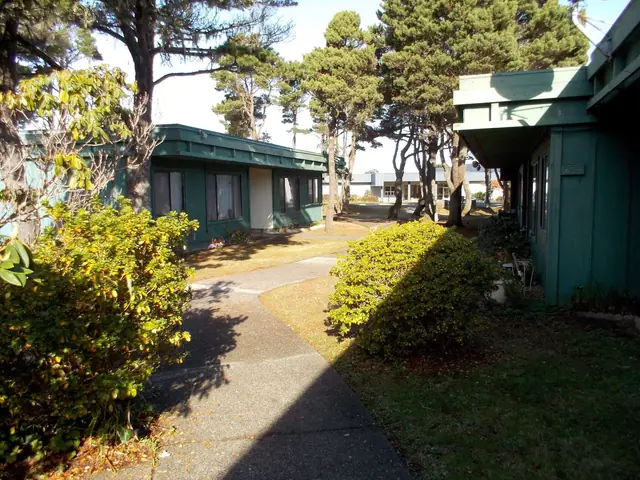 Walkway between the buildings, lined with shrubs and pine trees