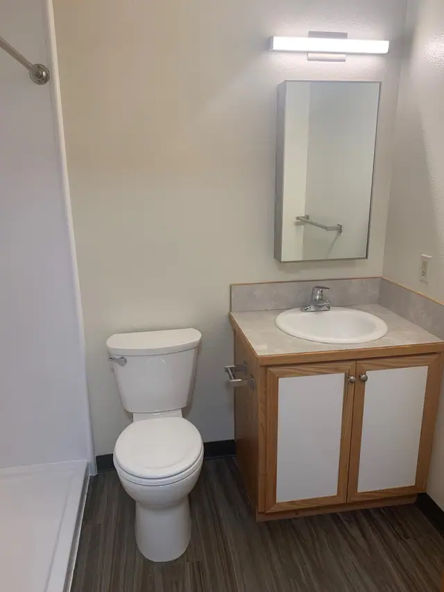 Bathroom with a vanity, a mirrored cabinet and wood-look flooring
