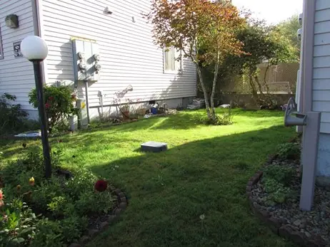 Side lawn with a lamp post and flower beds