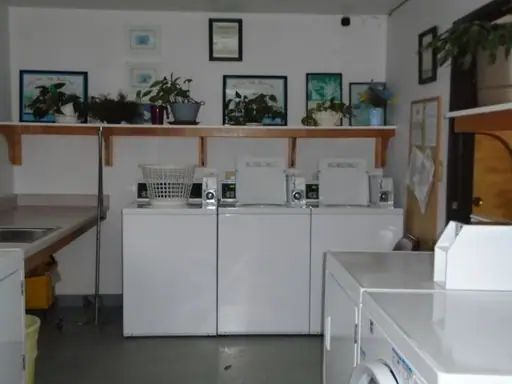 Laundry room with washers, dryers and a shelf of plants