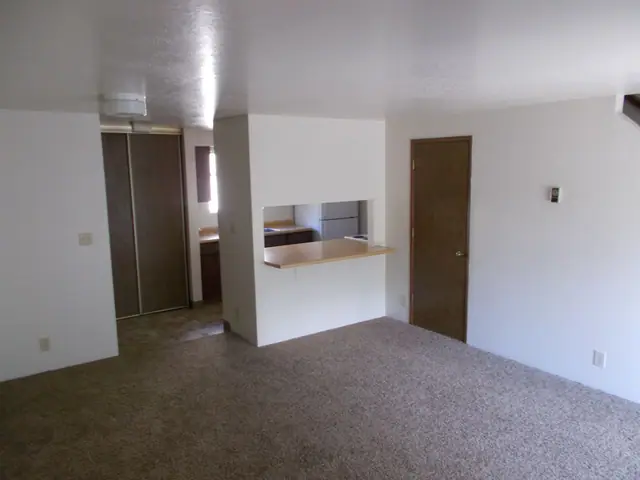 Living room with a pass-through to the kitchen and a closet