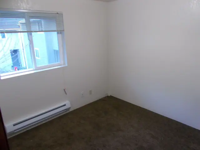 Empty bedroom with a window and carpet