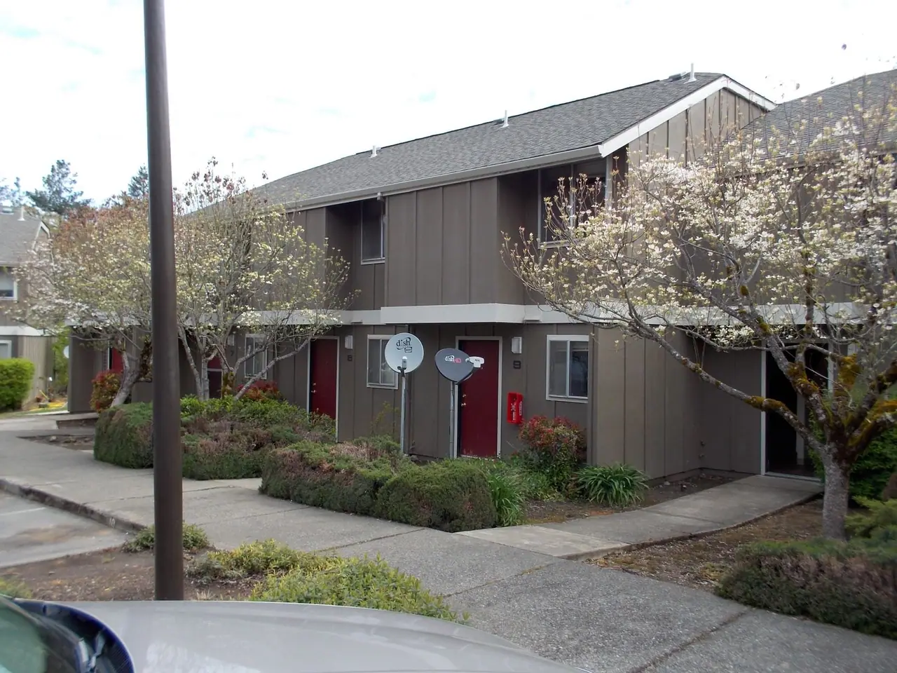 Two-story buildings with red doors and flowering trees