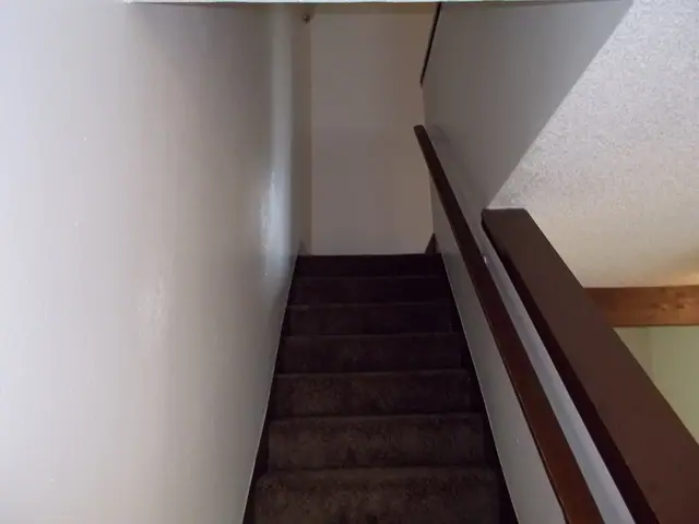 Carpeted stairs with a wood handrail