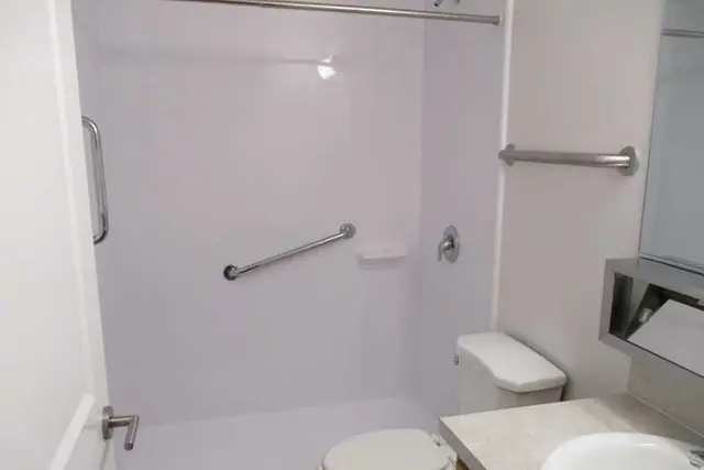 Shower with grab bars beside the toilet